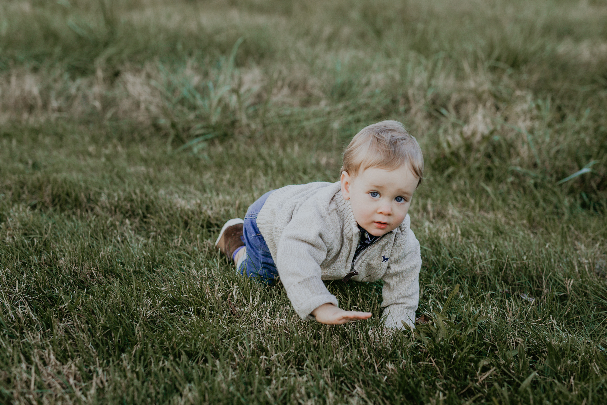 The Spring Hill Family little boy crawls through grass during their family photos.