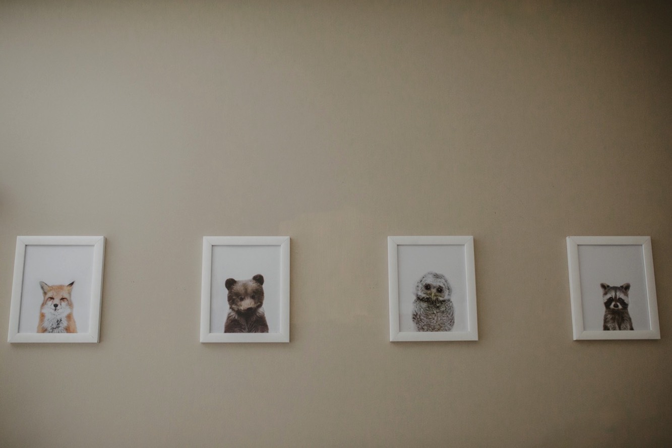 wall decor of animals in baby's room during the newborn session in spring hill.