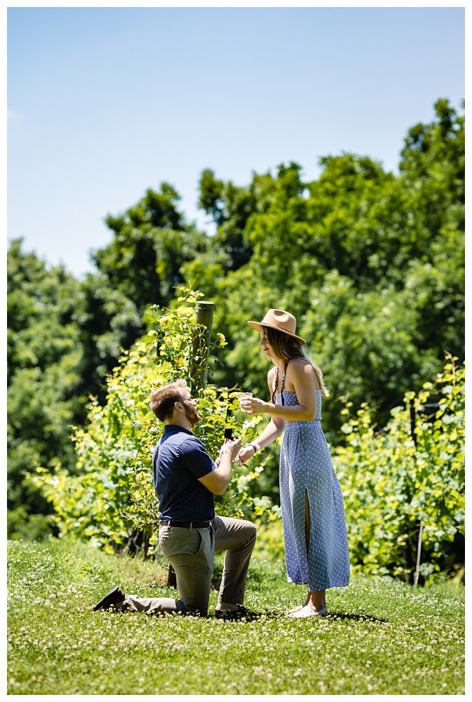 young man gets down on his knee to propose to his girlfriend, nashville proposal photographer, surprise proposal, arrington vineyards, Tennessee winery, best surprise proposal photographer, best Nashville Photographer, best Nashville proposal photographer, Tennessee photographer, couples photographer,